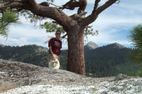 Bill at the summit tree on Liberty Cap (7076ft).