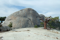 Southest face (back side) of Half Dome (8832ft) and summit of Liberty Cap (7076ft).