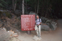 Previous