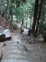 Mist Trail steps.
