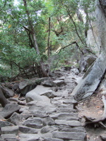 Steps of the Mist Trail ascending.