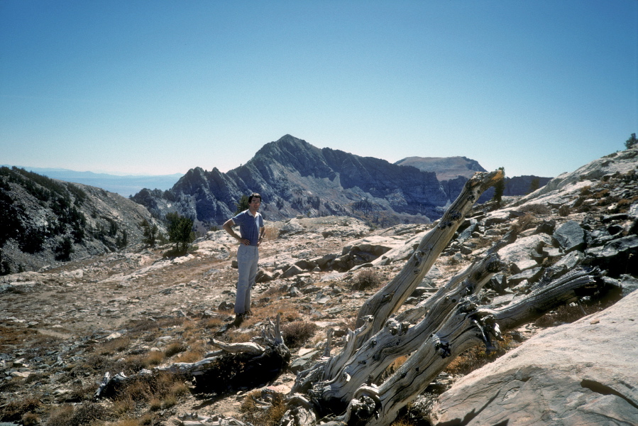 View north from Liberty Pass