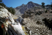 David on the Liberty Pass Trail.