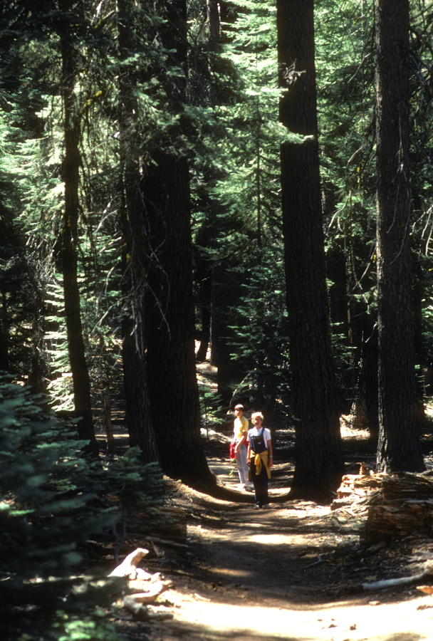 Bill and Jim on the trail to Little Baldy