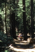 Bill and Jim on the trail to Little Baldy
