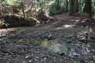 Stream crossing on Little Basin Road
