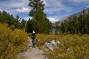 Bill plods wearily up the trail.