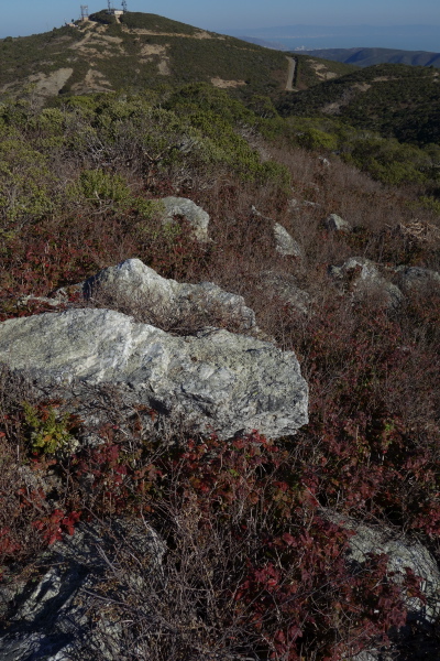 Bush-whacking and boulder-hopping to get off the south summit
