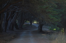 McNee Ranch driveway