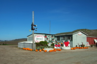 Witch on pole at Fambrini's produce stand near Bonny Doon Beach.