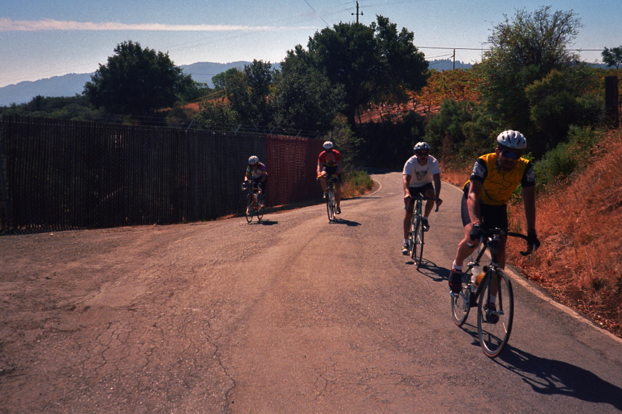 Stella is on the outside approaching the line.