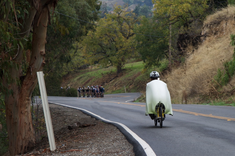 The lure in front of the hounds.