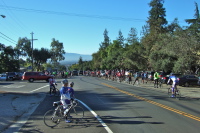 Everyone assembles while trying to stay clear of auto traffic.