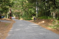 Loma Prieta Ave. in the trees (2140ft)