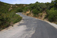 Loma Prieta Ave., climbing what used to be the 