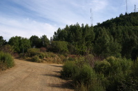 Road to Mt. Chual goes left (3410ft).