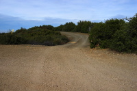 Descending Loma Ridge Rd. 1 (3120ft)