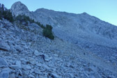Half-moon rises over Lookout Peak.