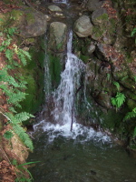 Los Trancos Falls