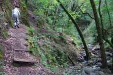David climbs a steep section alongside Los Trancos Creek