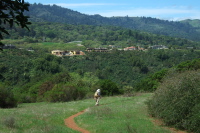 David descends the trail through a meadow.
