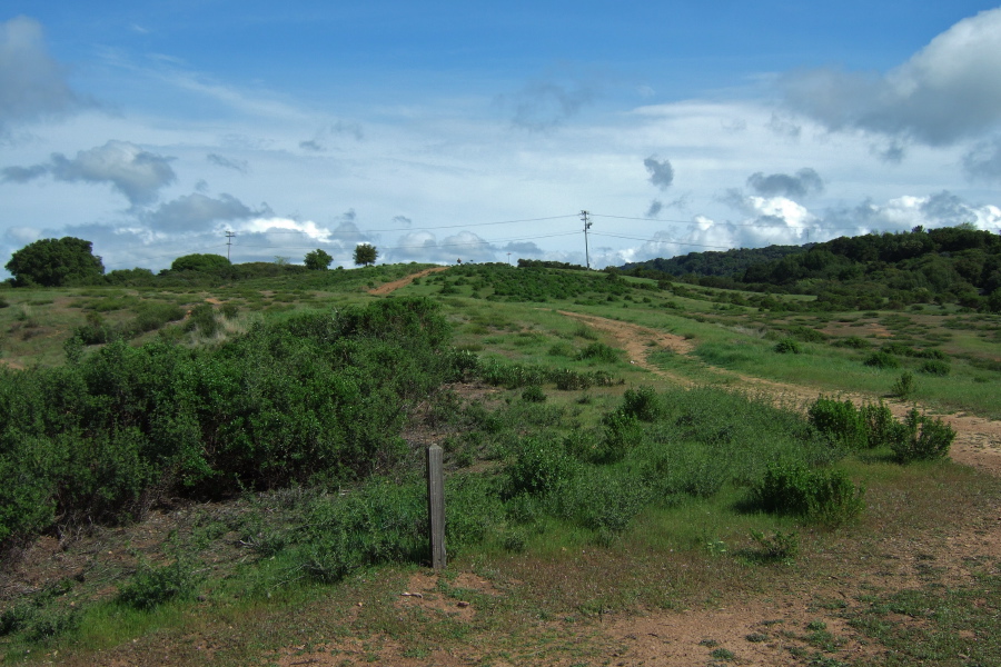 Page Mill Road is nearby but out of sight.