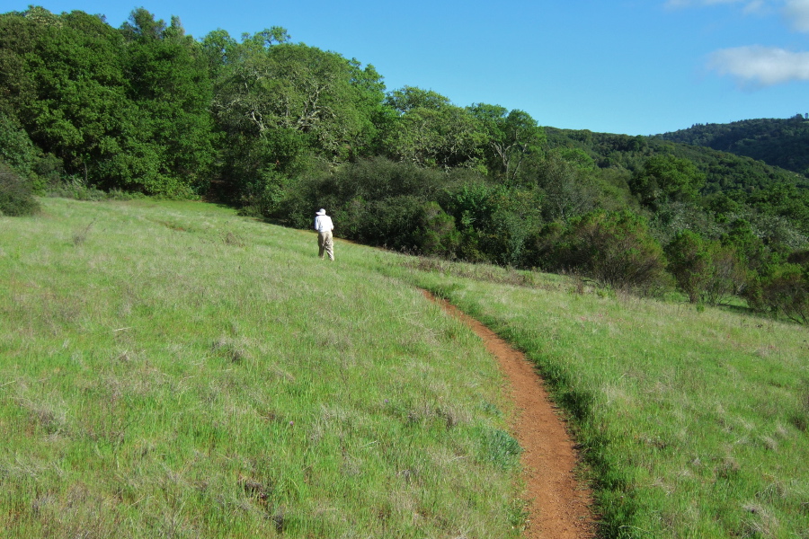 David presses up the trail without stopping.