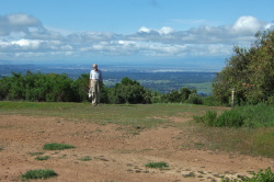 Los Trancos Trail and Trapper's Fire Road