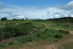 Page Mill Road is nearby but out of sight.