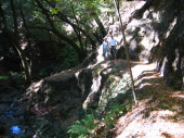 Along Los Trancos Creek, Foothills Park (1)