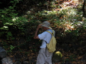 At the bench on Los Trancos Creek (1)