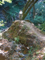 Zach enjoying the view from this small hill in Los Trancos Creek