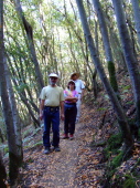 Previous