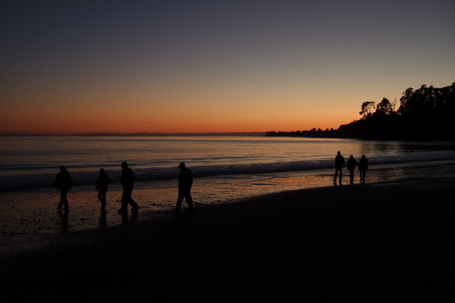 The group returns along the water line.