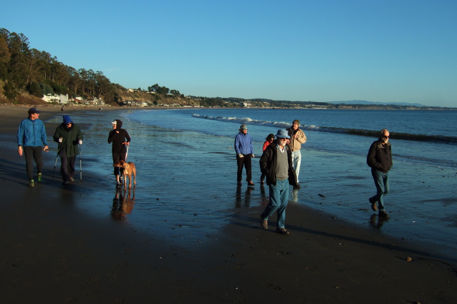 The group passes new Brighton Beach along the water line.