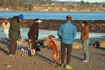 Jack rears up against the leash.