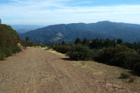 Taking the fire road down to Montevina Rd.
