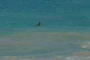 She swims just past the sandy water.