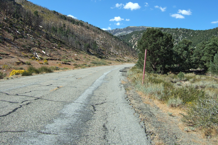 Starting the climb up Upper Rock Creek Canyon