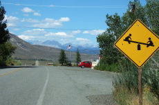 Watch out for occupied teeter-totters on Lake Crowley Drive!