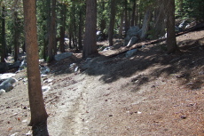 Climbing the horse trail to Lake George