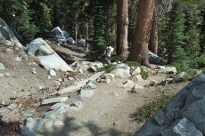 David presses on up the Mammoth Crest Trail.