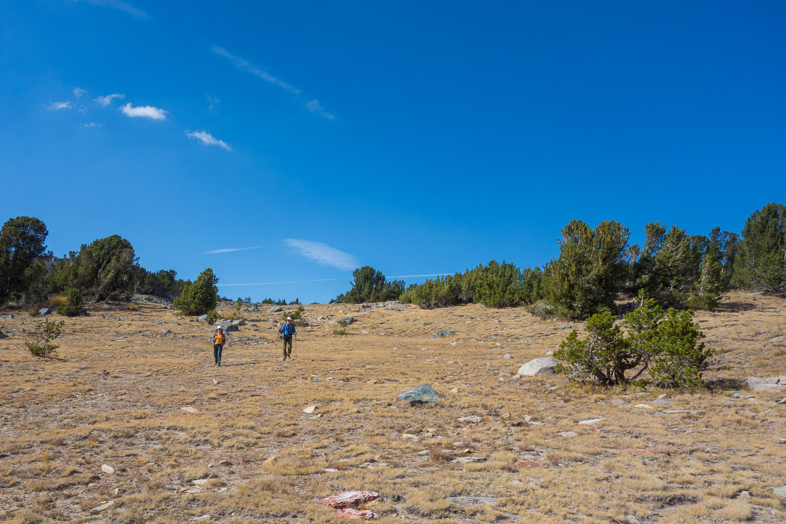 BB-20150925-0818.jpg