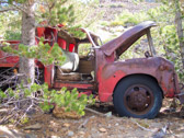 Photo courtesy of Frank Paysen.