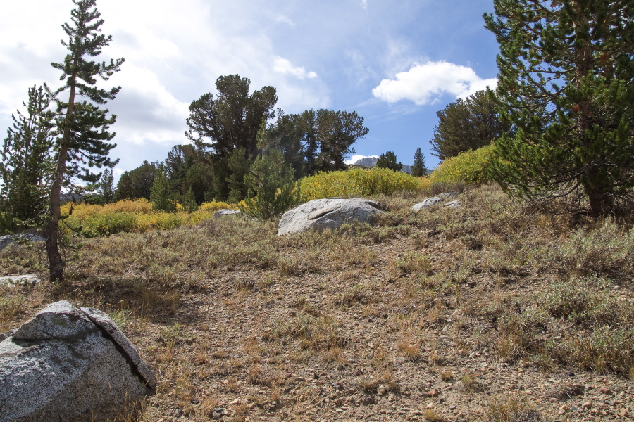 Typical view on our cross-country route