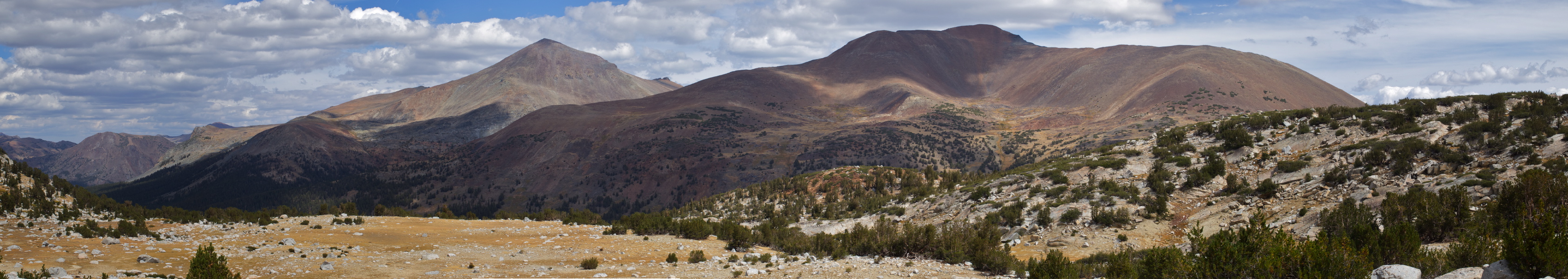 Mt. Dana (13053ft) and Mt. Gibbs (12773ft) from the big meadow
