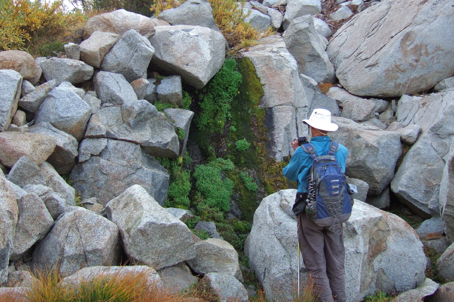 Frank photographs the small waterfall on the stream.