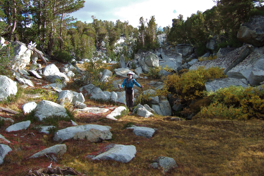 Frank descends through the lovely meadow.