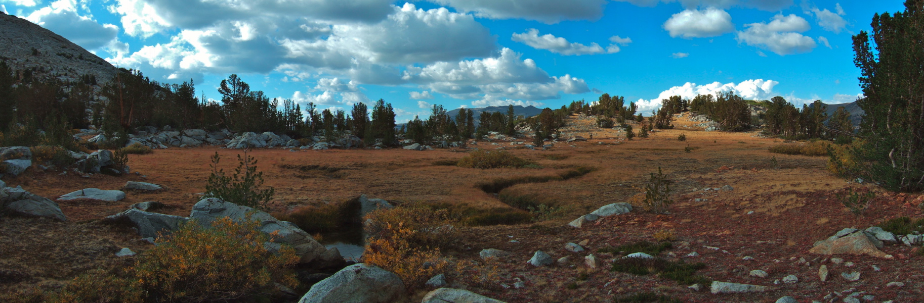 Meadow Panorama