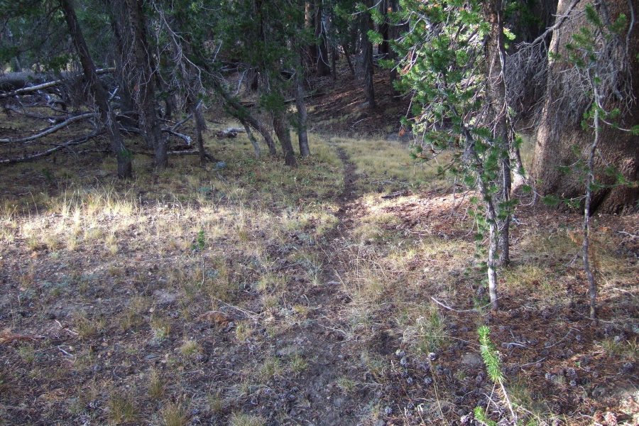 A faint use trail appeared once or twice along our route.